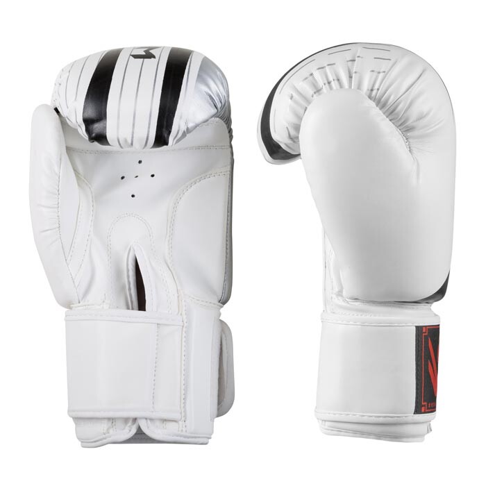 Боксерские перчатки Venum, DX-55, 10oz, белый-серебро.