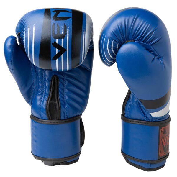 Боксерские перчатки Venum, DX-55, 10oz,12oz, синий-серебро.