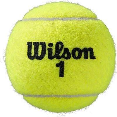 Мяч теннисный Wilson ROLAND GARROS ALL CT, 3шт