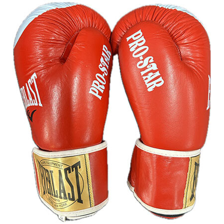 Боксерские перчатки Ever PRO STAR, кожа, 8oz, красный.