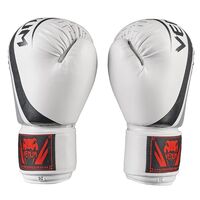 Боксерські рукавички Venum, DX-55, 10oz, білий-срібло.
