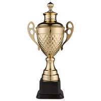 Кубок 1510В, h=47см.